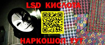 ГАЛЛЮЦИНОГЕННЫЕ ГРИБЫ Кандалакша