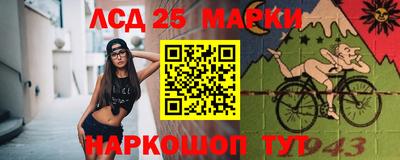 MDMA Premium VHQ Камышлов