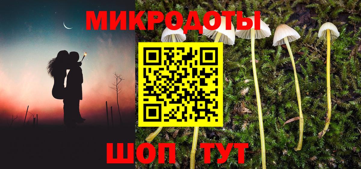 Галлюциногенные грибы Cubensis  Вход с VPN  Кулебаки 