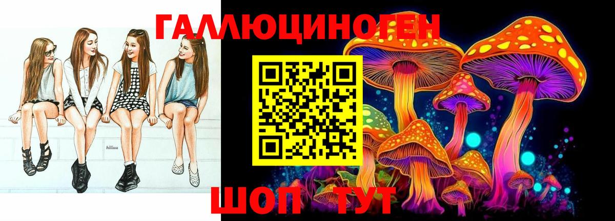 Галлюциногенные грибы GOLDEN TEACHER Кулебаки